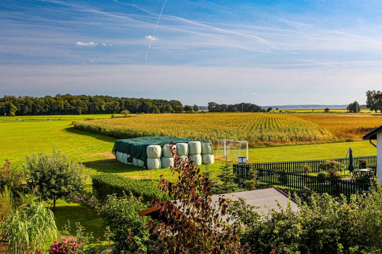 Urlaub Fuer Erwachsene - Usedom Ferienwohnungen Tannengrund 로딘 외부 사진